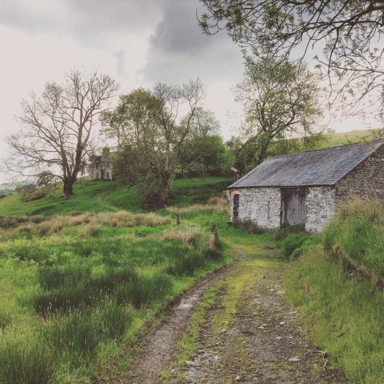 Maes Y Gwaelod Bed & Breakfast Llanwrtyd Wells Luaran gambar