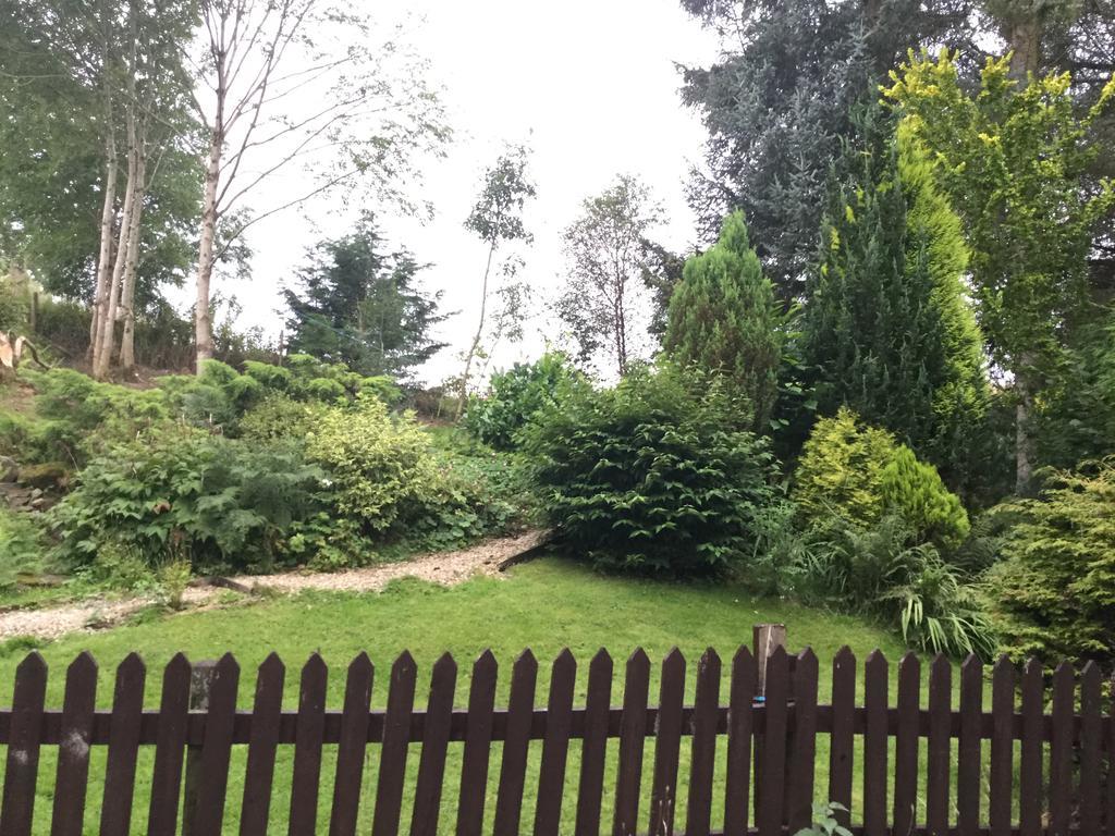 Maes Y Gwaelod Bed & Breakfast Llanwrtyd Wells Luaran gambar