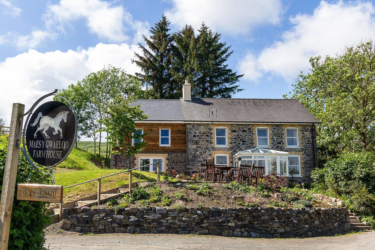 Maes Y Gwaelod Bed & Breakfast Llanwrtyd Wells Luaran gambar